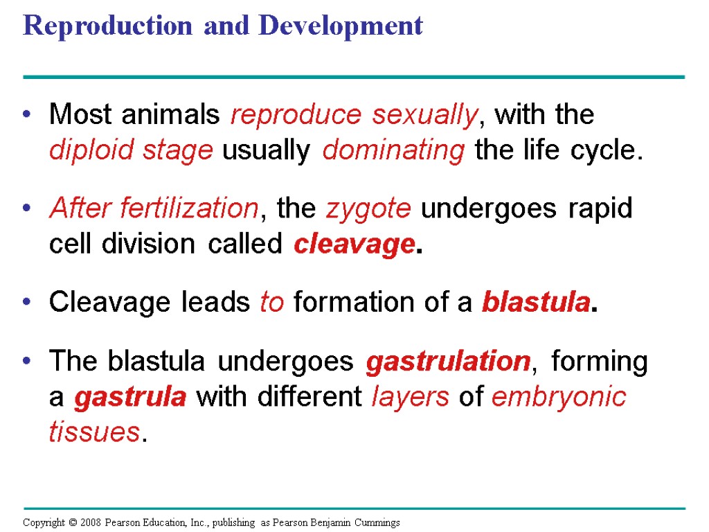 Reproduction and Development Most animals reproduce sexually, with the diploid stage usually dominating the